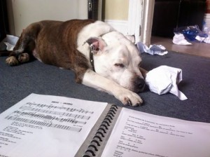 Ollie the paper shredder worn out helping to arrange the music books.